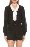 Alexia Admor Serena Long Sleeve Tie Neck Blouse In Black