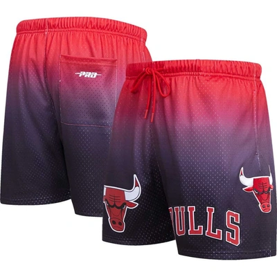 Pro Standard Men's  Purple, Red Chicago Bulls Ombre Mesh Shorts In Purple,red