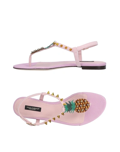 Dolce & Gabbana Toe Strap Sandals In Light Pink