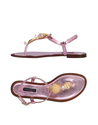 Dolce & Gabbana Toe Strap Sandals In Pink
