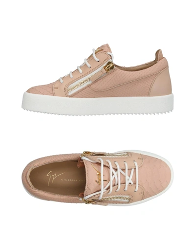 Giuseppe Zanotti Sneakers In Pink