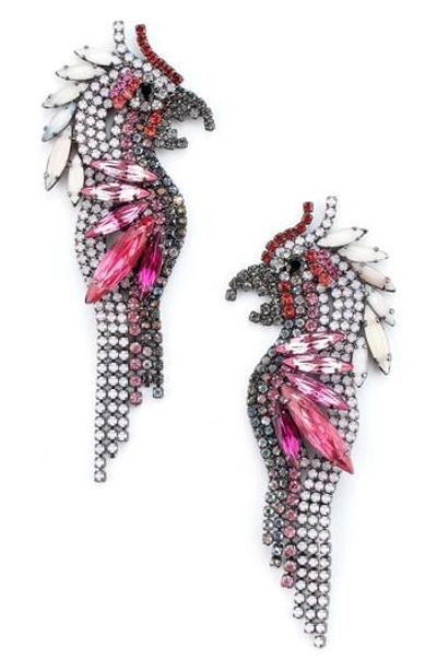 Elizabeth Cole Crystal Parrot Earrings In Pink