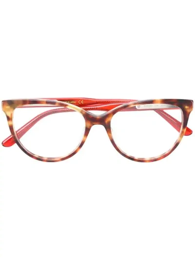 Bottega Veneta Eyewear Cat Eye Glasses - Brown