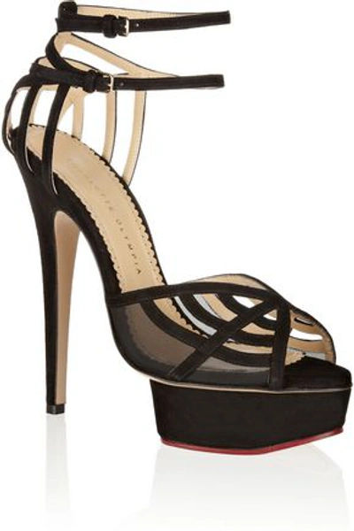Charlotte Olympia Woman Octavia Suede And Mesh Platform Sandals Black