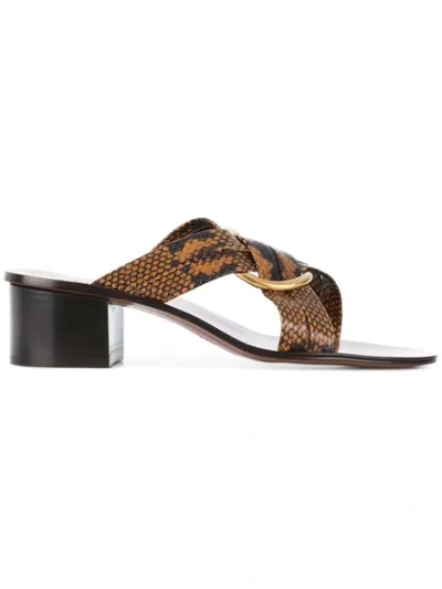 Chloé Rony Embellished Snake-effect Leather Mules In Brown