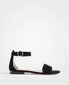 Ann Taylor Aislyn Suede Flat Sandals In Black