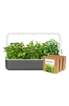 Click & Grow Smart Garden 9 Big Herbal Tea Kit In Grey