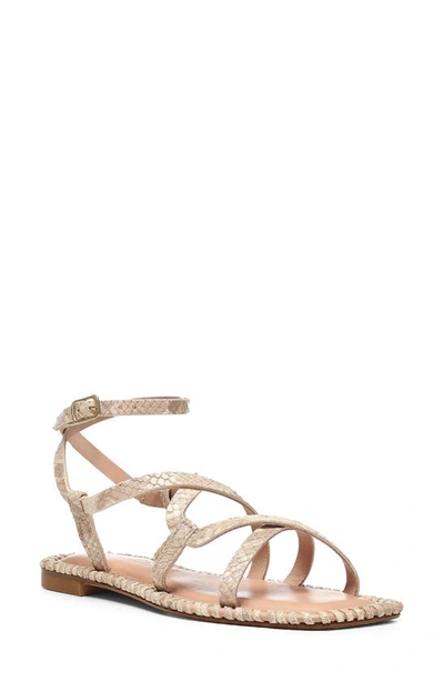 Donald Pliner Emilia Snakeskin Embossed Gladiator Sandal In Gold