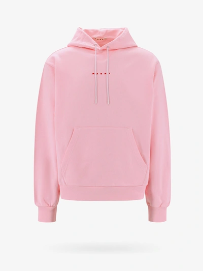 Marni Sweatshirt In Pink
