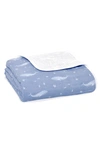 Aden + Anais Dream Organic Cotton Muslin Blanket In Oceanic Blue