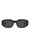 Versace Biggie 53mm Round Sunglasses In Dark Havana