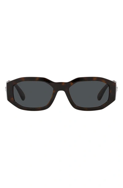 Versace Biggie 53mm Round Sunglasses In Dark Havana
