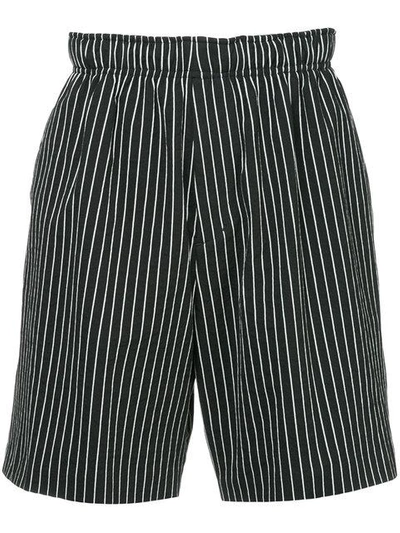 Roar Striped Shorts - Black