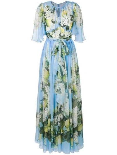 Dolce & Gabbana Floral Print Maxi Dress In Blue