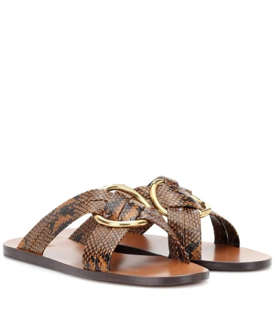 Chloé Rony Leather Sandals In Brown