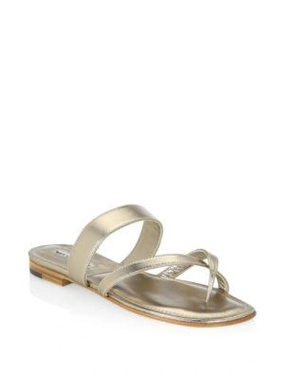 Manolo Blahnik Susa Leather Thong Sandals In Albarus