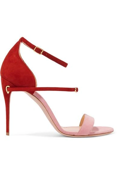 Jennifer Chamandi Roland Two-tone Suede Sandals In Pink
