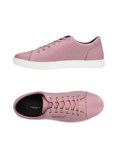 Dolce & Gabbana Sneakers In Pink
