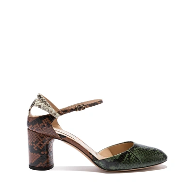 Casadei Daytime In Kombu Green, Cuoio And Stone