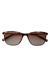 Ted Baker 54mm Square Polarized Sunglasses In Tortoise