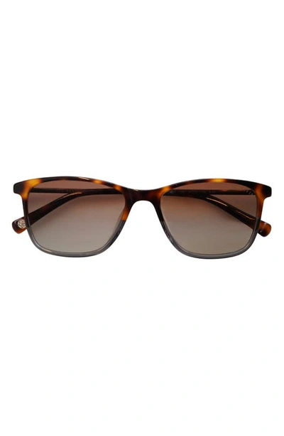 Ted Baker 54mm Square Polarized Sunglasses In Tortoise
