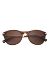 Ted Baker 55mm Full Rim Cat Eye Sunglasses In Tortoise