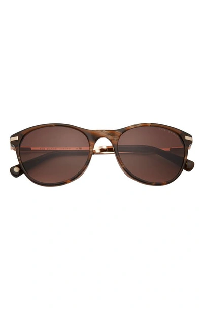 Ted Baker 55mm Full Rim Cat Eye Sunglasses In Tortoise