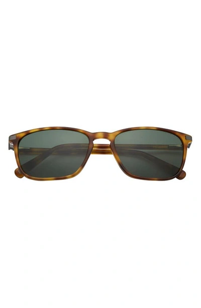 Ted Baker 55mm Polarized Rectangular Sunglasses In Tortoise