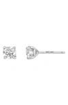 Bony Levy 14k Gold Prong Diamond Stud Earrings In 14k White Gold