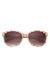 Ted Baker 56mm Cat Eye Sunglasses In Blush