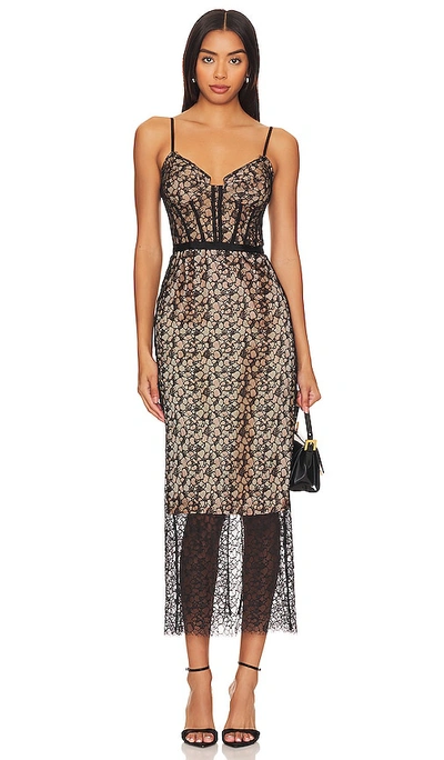 Simkhai Ruth Lace Bustier Midi Dress In Black