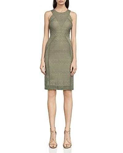 Bcbgmaxazria Dena Lace Sheath Dress In Dusty Olive