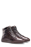 Koio Primo Sneaker In Mocha