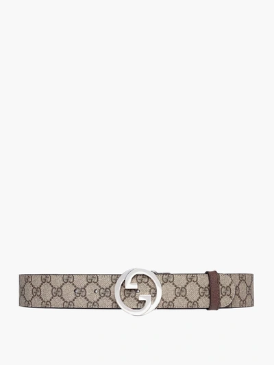 Gucci Logo Belt In Brown