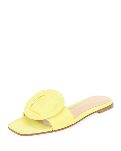 Gianvito Rossi Suede Flat Sandal With Ring Detail In Yellow