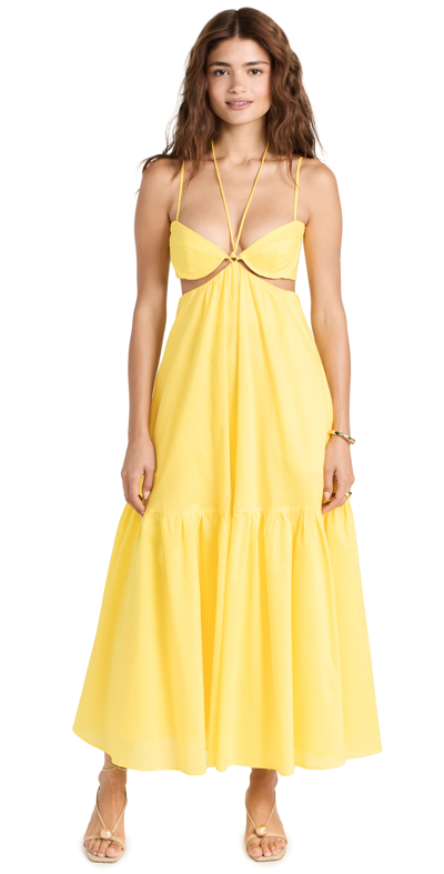 Bardot Willow Halter Neck Cotton Poplin Midi Dress In Sunshine