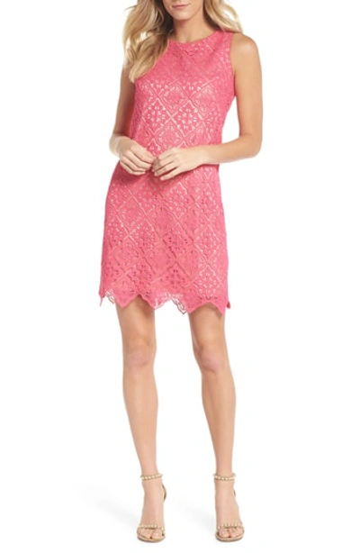 Eliza J Sleeveless Lace Shift Dress In Hot Pink