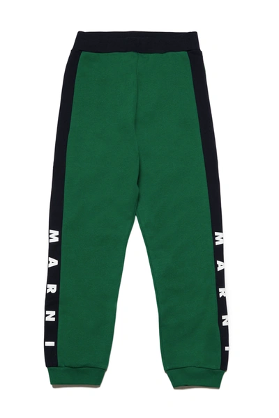 Marni Kids' Colorblock In Fleece Jogger Pants With Logo Bands In Green