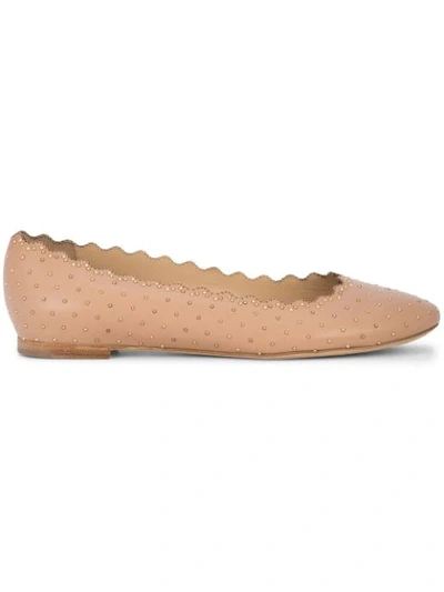 Chloé Lauren Scalloped Ballet Flats With Silver Studs In Brown