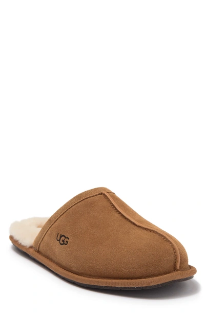 Ugg Pearle Faux Fur Lined Scuff Slipper In Chestnut