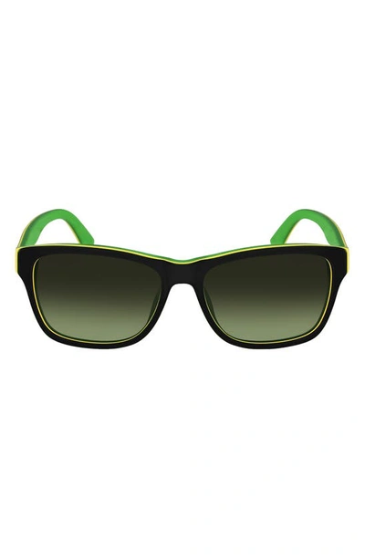 Lacoste 55mm Gradient Rectangular Sunglasses In Dark Green