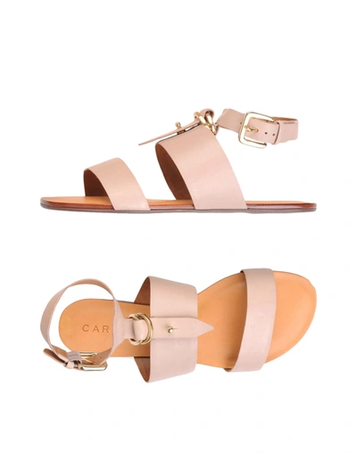 Carrano Sandals In Pale Pink