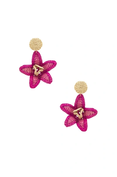 Mercedes Salazar Dioscorea Fucsia Arete Earring In Fuchsia