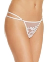 Thistle & Spire Cornelia Embroidered Mesh Thong In Ivory