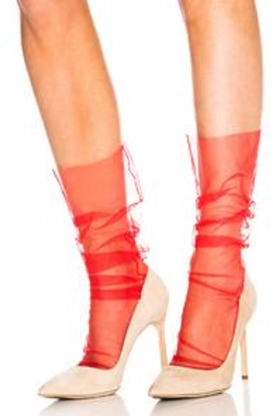 Pan & The Dream Italian Nylon Tulle Socks In Red