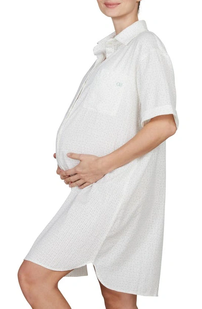 Cache Coeur Paulette Maternity/nursing Organic Cotton Nightgown In White/ Green