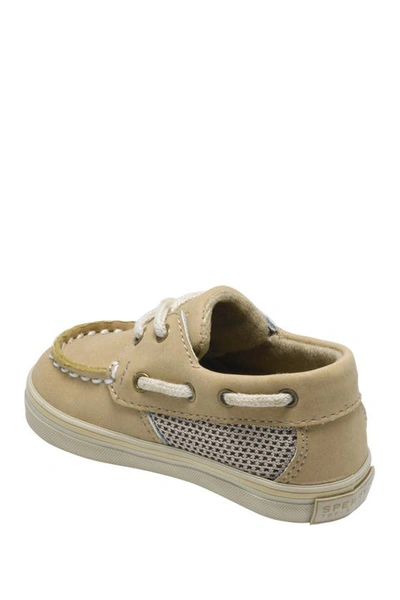 Sperry Babies' Intrepid Crib Sneaker In Linen
