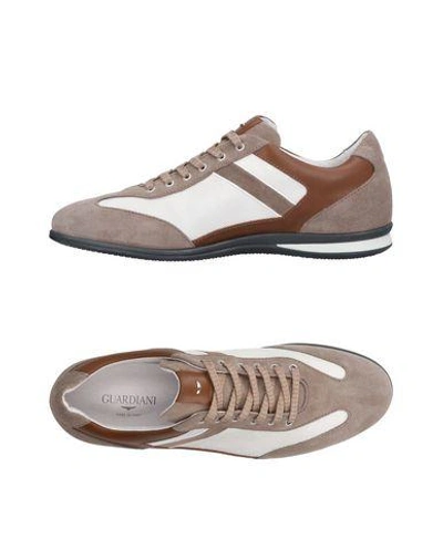 Alberto Guardiani Sneakers In Khaki