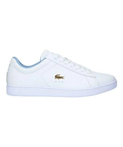 Lacoste Women's Carnaby Evo 5 Sneaker In White/light Blue Leather (118) |  ModeSens