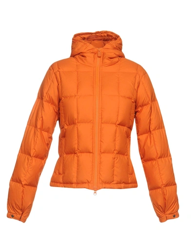 Aspesi Down Jacket In Orange